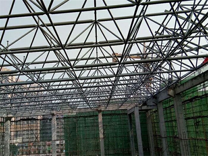 肇东光谷第十一小学网架